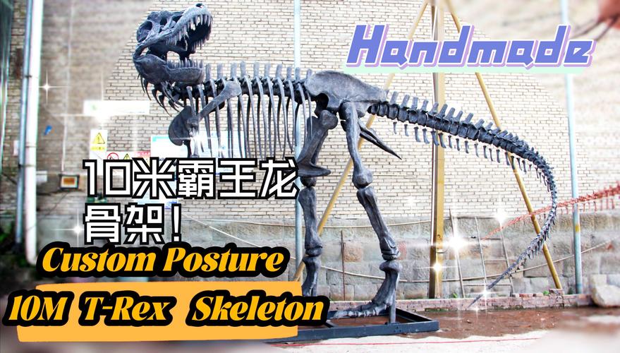 龙骨复生梦境解析：吉兆还是隐患？