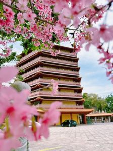 厦门旅游攻略：色彩禁忌穿搭指南与美食景点