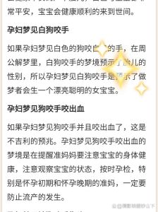 梦见狗咬狗：预示冲突与挑战，自我调整之道