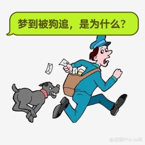 梦境大狗解析：忠诚与冲突的深层寓意