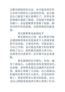 解密狗咬人梦境：预示心理与象征意义