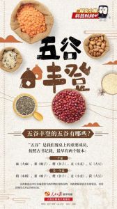 五谷杂粮风水秘籍：吉祥平安生活秘诀