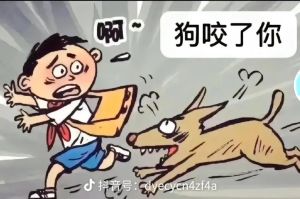 梦见狗咬人我在旁观的深层寓意与生活启示