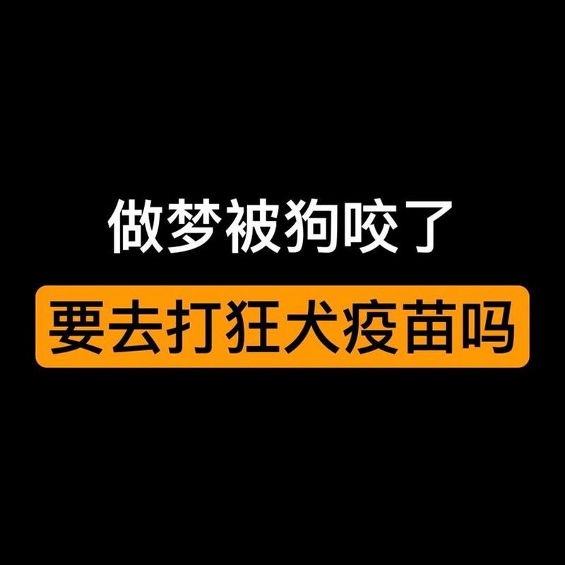 梦境解析：大狗咬人预示什么？内心恐惧与人际关系