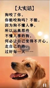 解密梦境：狗咬自己背后的心理象征与启示