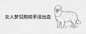 女人梦见狗咬的寓意解析：梦境奥秘与生活启示