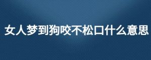 五十多岁男人梦见狗咬手解析及启示