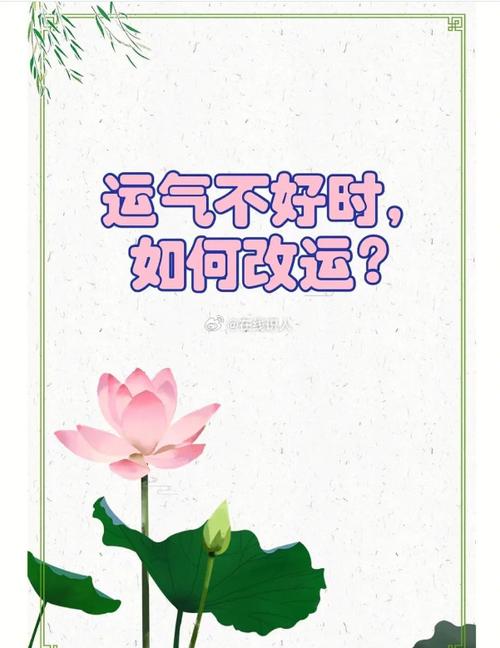 2024年运势大全球职业财务情感与健康全解析