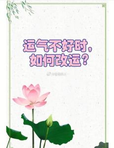 2024年运势大全球职业财务情感与健康全解析
