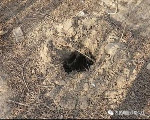 解梦梦见钻地洞预示什么？