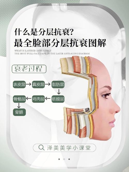 面部抗衰老：明星逆龄秘籍大公开！