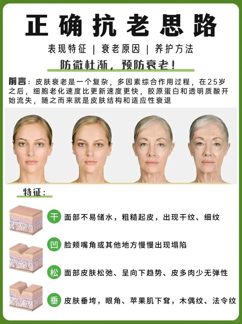 肌肤再生之旅：抗衰老秘密，重拾青春光彩