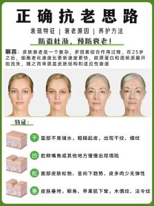 肌肤再生之旅：抗衰老秘密，重拾青春光彩