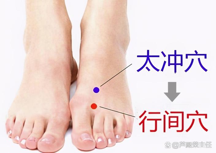 五大抗老穴位+饮食，轻松抗衰老，重拾青春光彩
