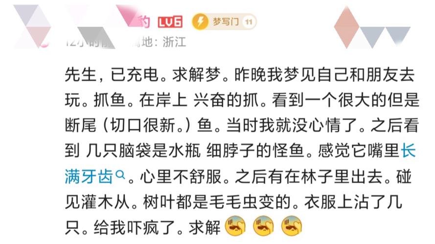 梦见巨鱼攻击的心理解析：梦境背后的心理世界