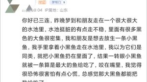 梦见凶猛鱼追赶：梦境密码与生活启示