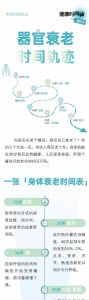 助高龄老人绽放：破解衰老挑战与生活困境