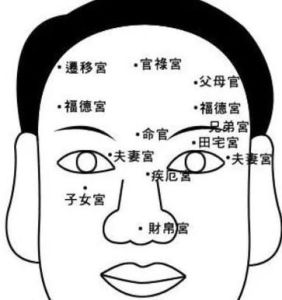 相术与命运：相术大师命运之谜