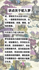 梦解析：女人梦见满地死蛇的深层心理含义