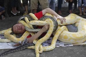 蛇缠女人梦解析：欲望力量与挑战的启示