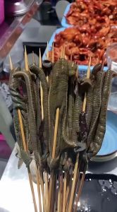 梦境水蛭解析：女性生活神秘象征