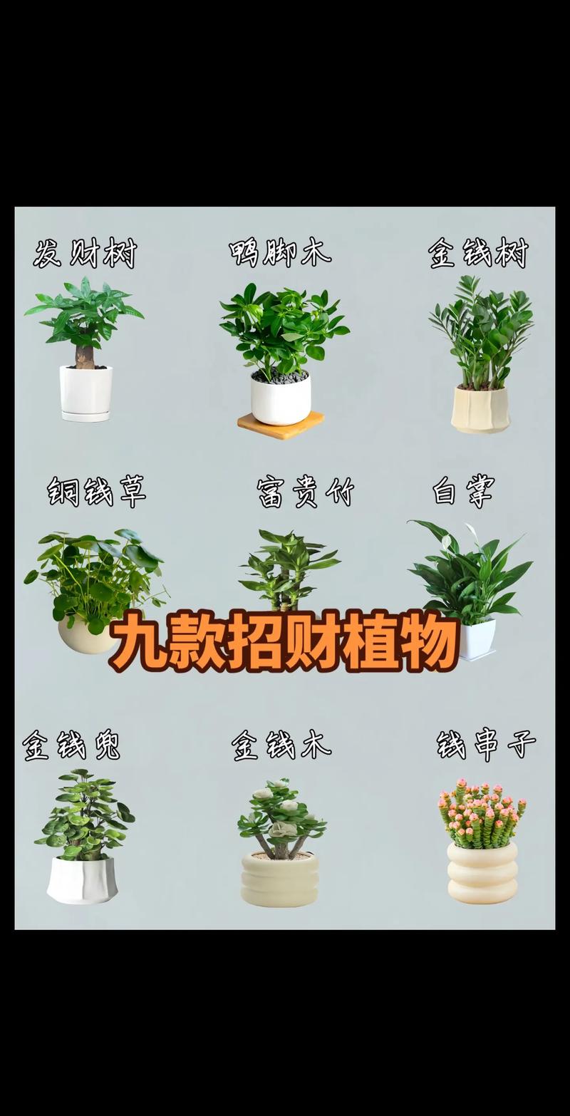 23招招财秘籍：全方位提升财运攻略