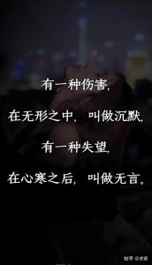 沉默者内心：智慧与情感的静谧世界