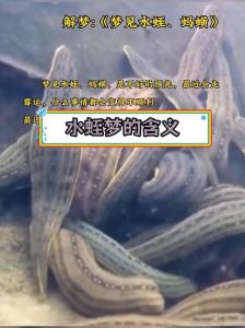 水蛭梦境解析：预示好运与人际关系风险