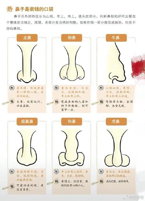 轻度自闭症儿童护理：饮食禁忌与克服恐惧指南