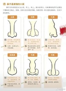 面相学看相叫住者之谜与自我认知提升