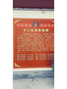喜门开解读：好运背后的八字命理奥秘