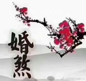 破解婚煞秘籍：婚姻障碍，迈向幸福人生