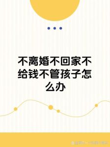 媳妇离家出走，法律维权与家庭重建指南