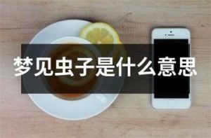梦境虫子排出体外的象征意义解析