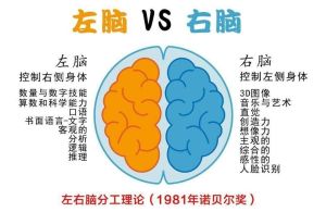 智力低与开窍晚：差异解析与应对策略
