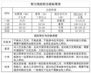 中国自闭症儿童补助政策：照亮星星孩子的前行路