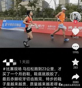 离婚难题：家暴失踪案，法律情感交织解谜之旅