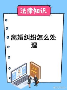 离婚纠纷全解析：财产分割抚养权与法律应对指南