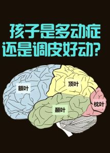 多动症大脑发育与干预关键