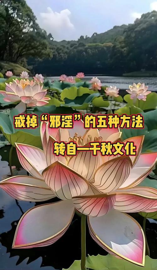 驱邪去霉秘籍：摆脱霉运，重拾好运指南