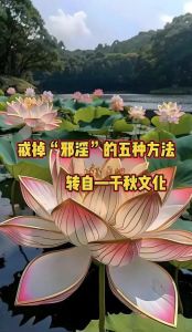 驱邪去霉秘籍：摆脱霉运，重拾好运指南