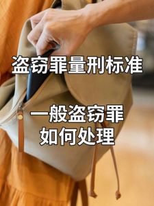 家庭盗窃处理：法律与和谐修复之道