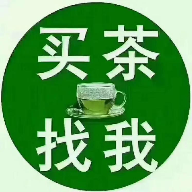 500元一晚同城约茶：都市低成本社交新风尚