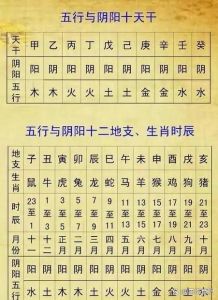 中国玄学宝库：大师智慧与传奇故事