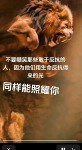 识别能量吸血鬼，重拾活力正能量秘籍