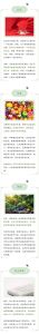 乔迁大吉：暖房攻略解析与美好寓意