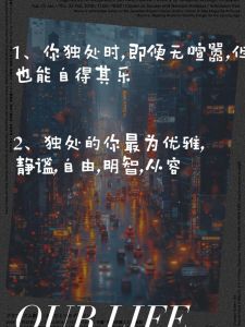 独处智慧：聪明人的心理素质与价值感