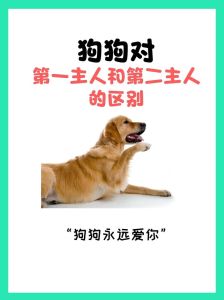 老狗成精传说：寿命真相与科学关爱