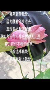 岁月独处：成长的宁静之道