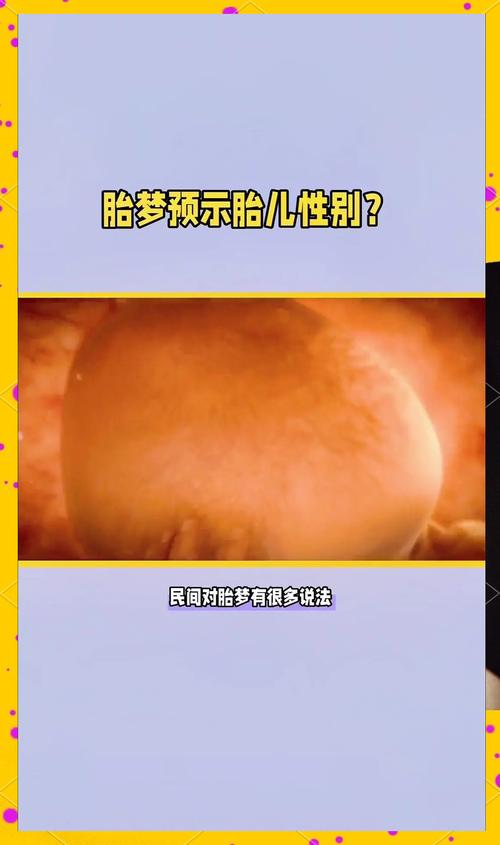 胎梦科学解析生女儿梦境真相